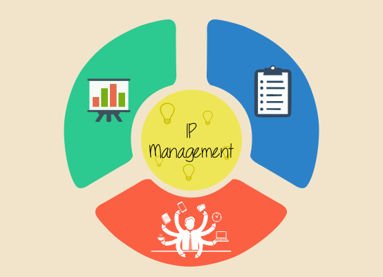 IP Management Page